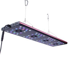 Светильник Semigrow LED IT5080 220W