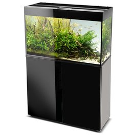 Аквариум  GLOSSY  120 Аквариум  GLOSSY  120