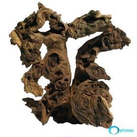 Коряга саванная H002