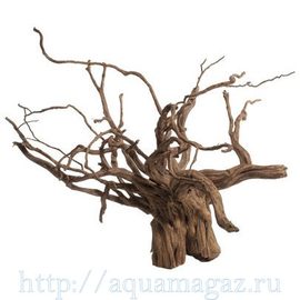 Красная коряга Штучная 1-2 кг.