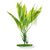 Растение Амазонка 38 см зеленое