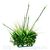 растение для аквариума Fluval Chi растение для аквариума Fluval Chi