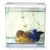 Аквариум Marina Betta Kit Contemporary, 2л, белый Аквариум Marina Betta Kit Contemporary, 2л, белый