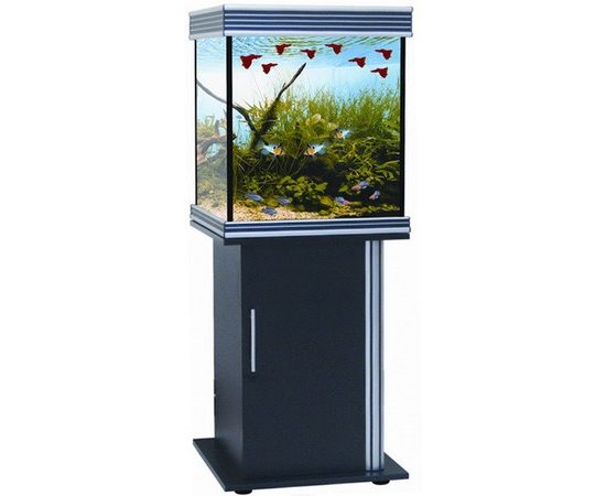 Аквариум B-650M, 240л, прямоуг., 2x24W T5, 65x65x65см, тик
