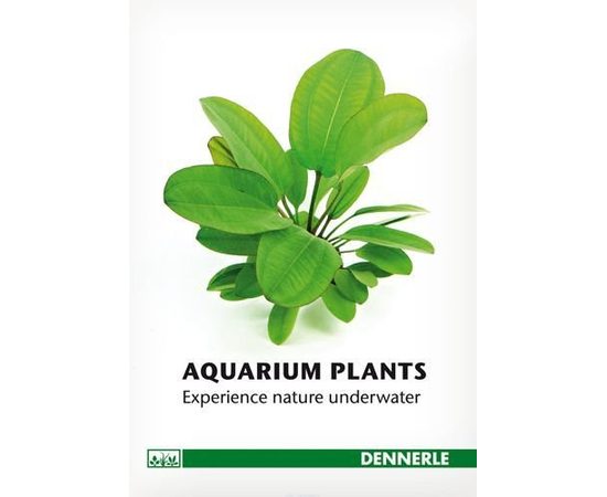 Справочник аквариумных растений DENNERLE