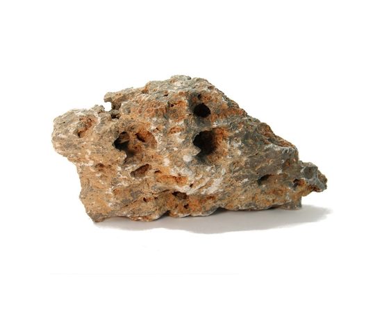 Камень Многодырчатый S006