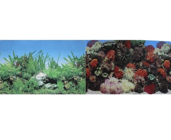 Фон для аквариума двухсторонний Кораллы/Растительный 30х60см  PR-002125