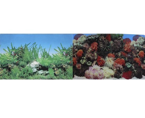 Фон для аквариума двухсторонний Кораллы/Растительный 30х60см  PR-002125