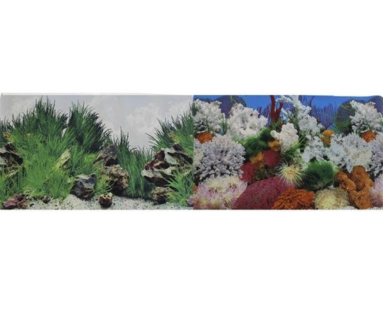 Фон для аквариума двухсторонний Кораллы/Растительный 30х60см  PR-002125