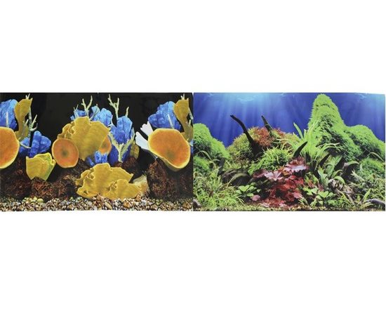 Фон для аквариума двухсторонний Морские кораллы/Подводный мир 50х100см  PR-002316