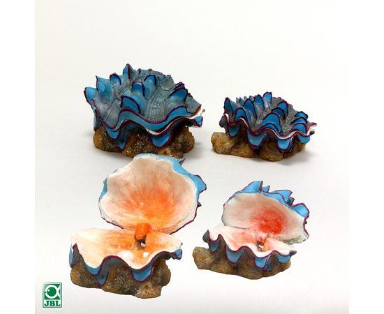 Декоративный распылитель с эффектом движения 2 раковины с жемчужинами JBL ActionAir Beautiful Shells