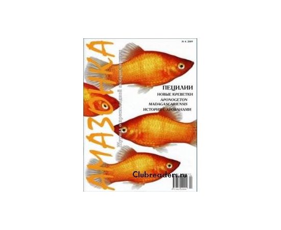 Журнал Амазонка № 4