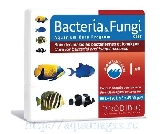 Bacteria & Fungi Salt (6шт)