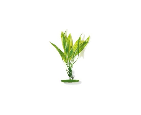 Растение Амазонка 38 см зеленое