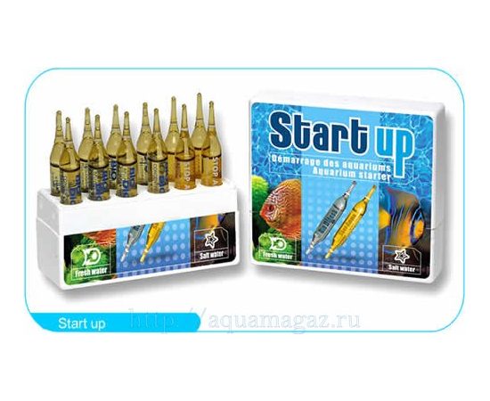 START UP набор препаратов BIO DIGEST+STOP AMMO (30шт) START UP набор препаратов BIO DIGEST+STOP AMMO (30шт)
