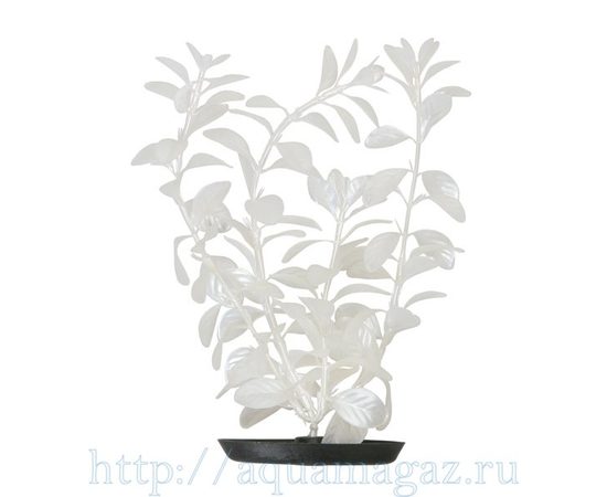 Растение Людвигия белая 30 см перламутровое