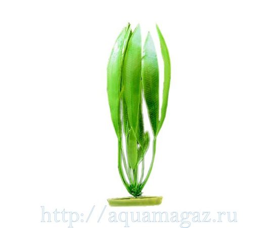 Растение Амазонка 38 см зеленое