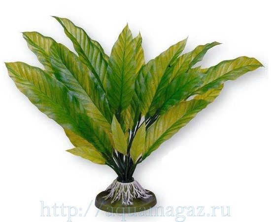 Растение Амазонка большое 32 см зеленое
