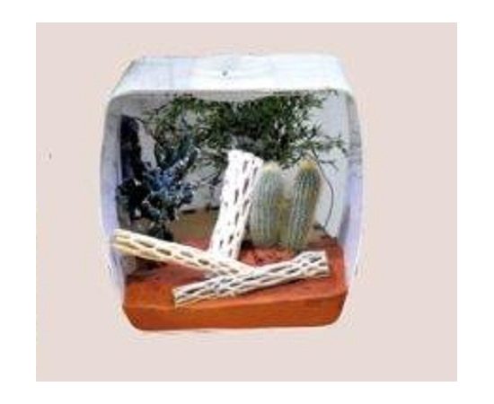 Инсектариум/аквариум универсальный  Life Box 30, 14л, белый, 30х18х30