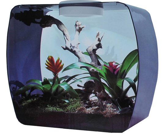Инсектариум/аквариум универсальный Life Box 30, 14л, сиреневый, 30х18х30