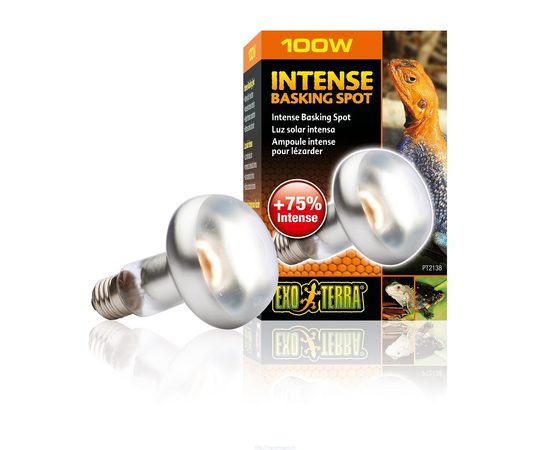 Лампа для баскинга Sun Glo Tight Beam S 25 100 Вт Лампа для баскинга Sun Glo Tight Beam S 25 100 Вт