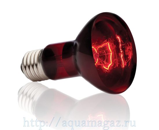 Инфракрасная лампа Heat Glo R 20 75 Вт