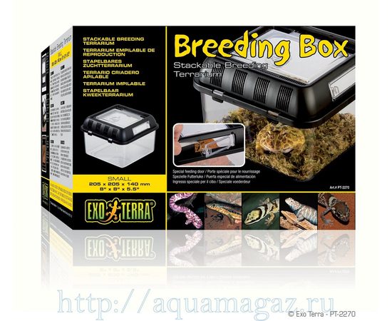 Контейнер для разведения Breeding Box малый