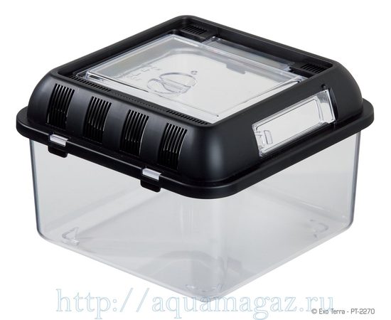 Контейнер для разведения Breeding Box малый