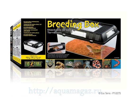 Контейнер для разведения Breeding Box средний