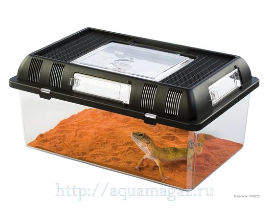 Контейнер для разведения Breeding Box средний