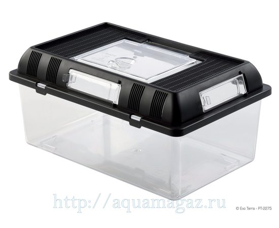 Контейнер для разведения Breeding Box средний