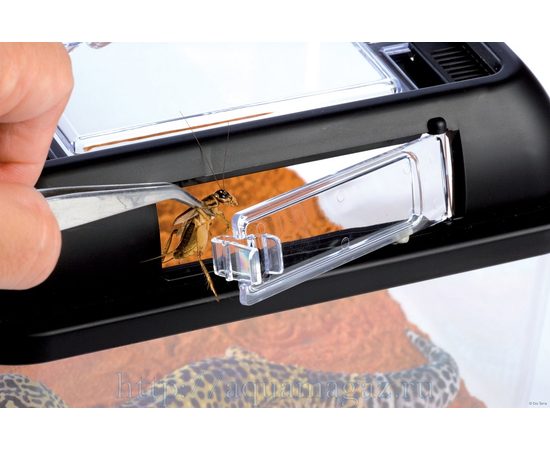 Контейнер для разведения Breeding Box средний