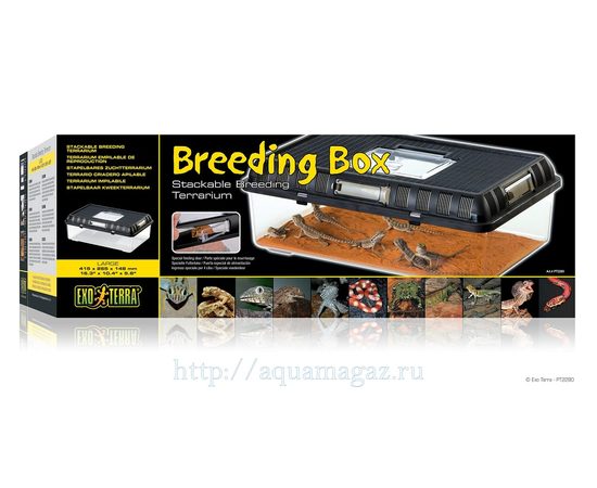 Контейнер для разведения Breeding Box большой Контейнер для разведения Breeding Box большой