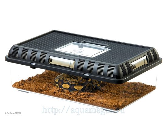Контейнер для разведения Breeding Box большой Контейнер для разведения Breeding Box большой