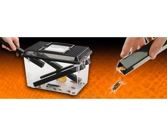 Контейнер для живого корма маленький (18 x 14 x 11 см)