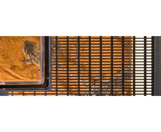 Многоцелевой террариум (Фаунариум) плоский большой