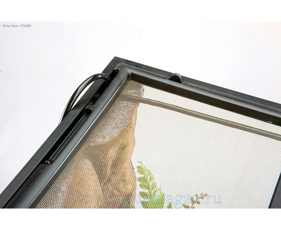 Увлажнитель воздуха для Террариумов