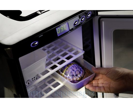 Инкубатор Exo-Terra