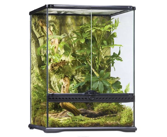 Террариум из силикатного стекла 45 x 45 x 60 см Террариум из силикатного стекла 45 x 45 x 60 см