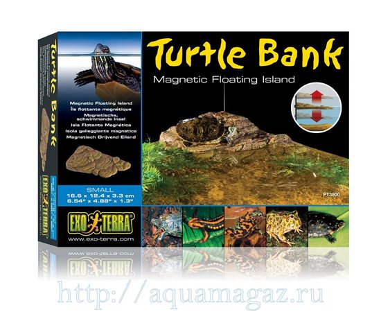 Черепаший берег Turtle Island маленький