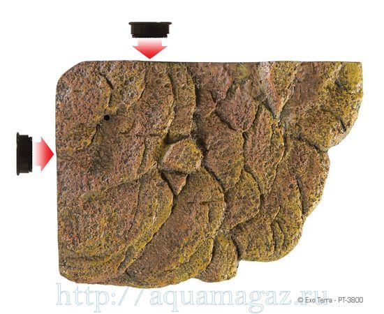 Черепаший берег Turtle Island маленький