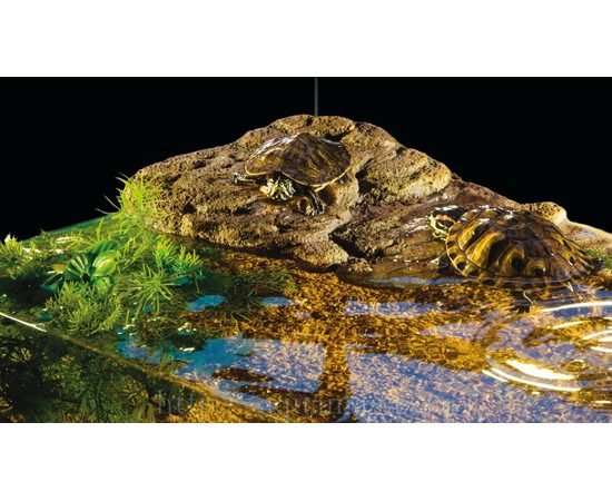 Черепаший берег Turtle Island маленький