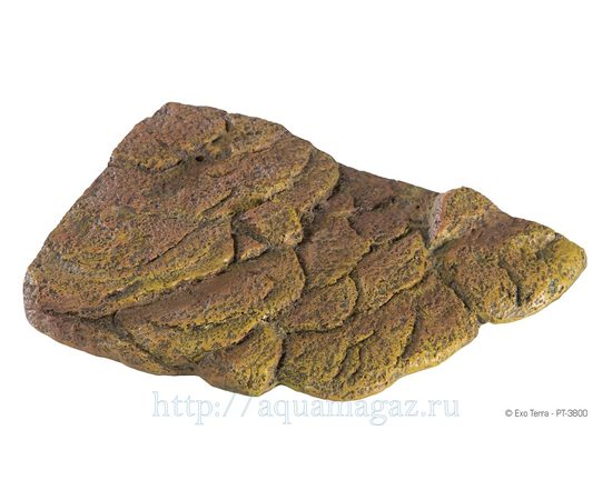 Черепаший берег Turtle Island маленький