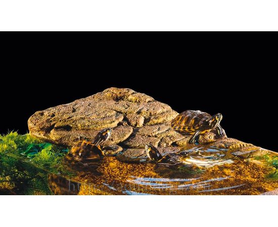 Черепаший берег Turtle Island маленький