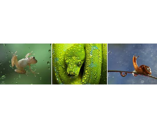 Ультразвуковой туманогенератор Fogger