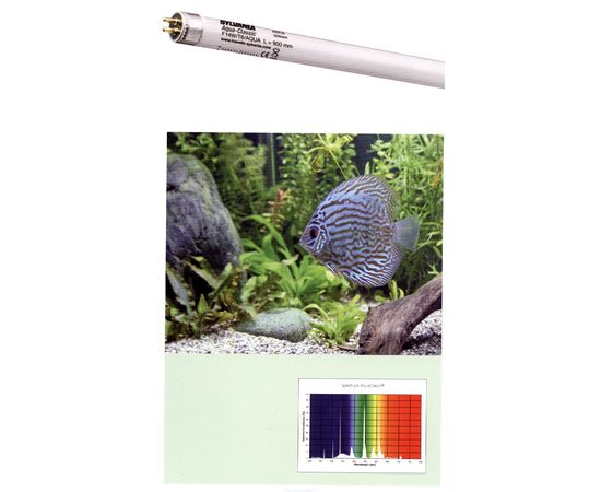 Лампа SYLVANIA Aquaclassic 25Вт 74,2см, цоколь G13