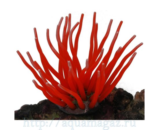 Коралл силиконовый красный 5.5х5.5х10см