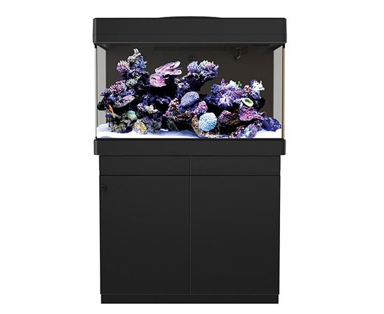 Аквариум MAX C-250 рифовая система - черный (аквариум и тумба) Аквариум MAX C-250 рифовая система - черный (аквариум и тумба)