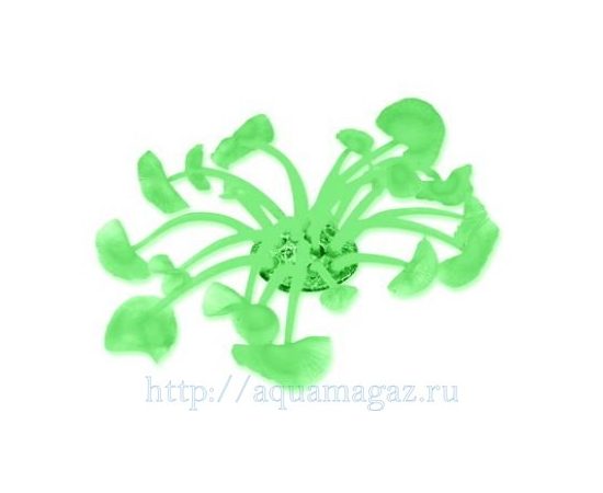 Коралл искуственный RED SEA Дискосома S (Dickosoma) зеленый