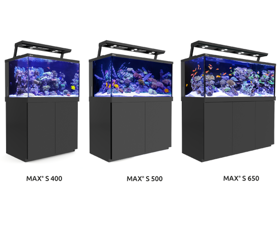 Аквариум MAX S-500 комплект рифовой системы, новая модель! Аквариум MAX S-500 комплект рифовой системы, новая модель!